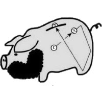 Freddy The Beard Bentivegna Freddy The Beard Bentivegna