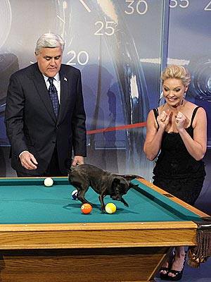 Frank Isn’t The Only PoolDawg… Frank Isn’t The Only PoolDawg…
