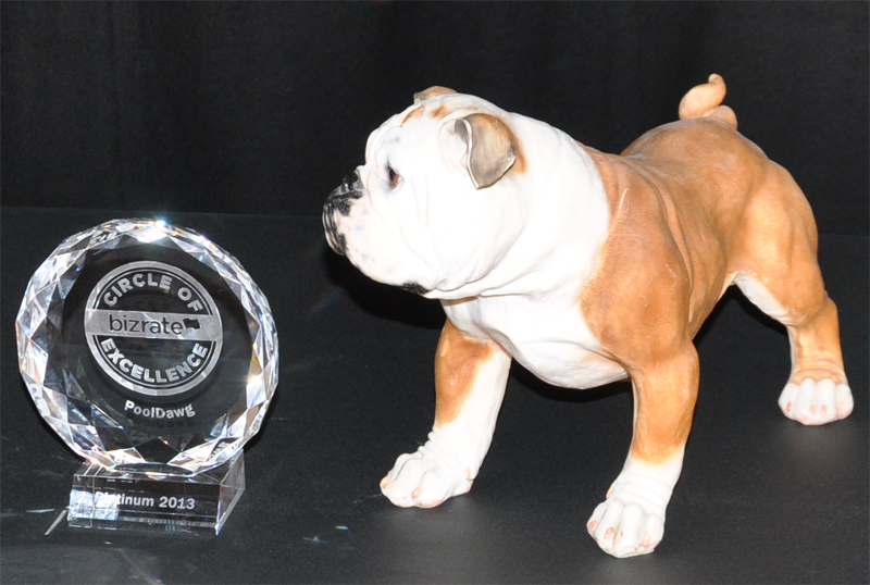 PoolDawg Awarded Bizrate 2013 Circle of Excellence Award PoolDawg Awarded Bizrate 2013 Circle of Excellence Award