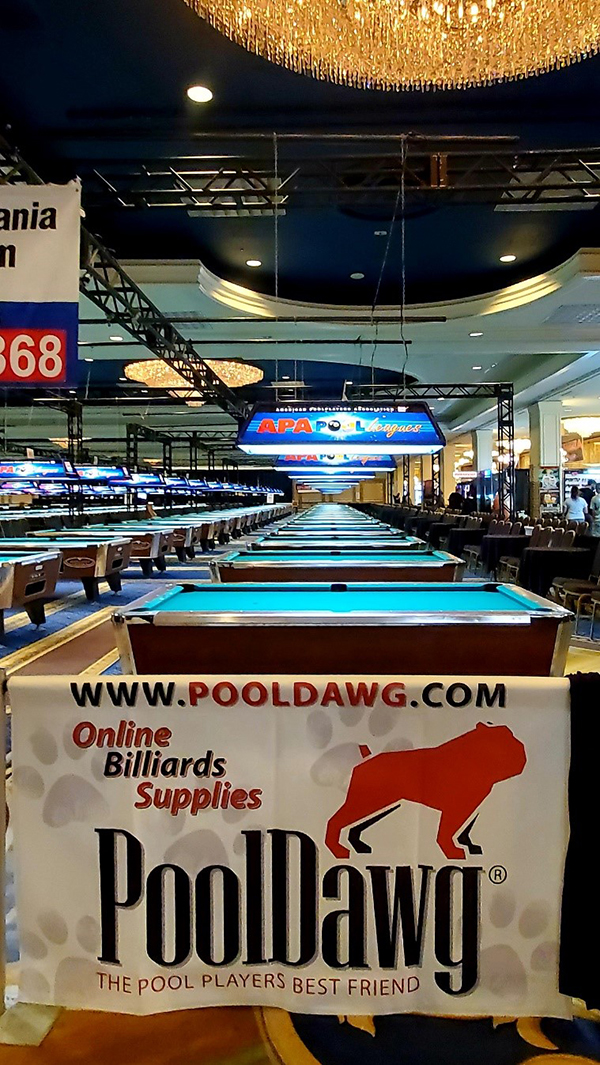 PoolDawg APA Table