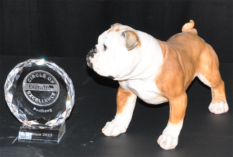 PoolDawg Awarded Bizrate 2013 Circle of Excellence Award