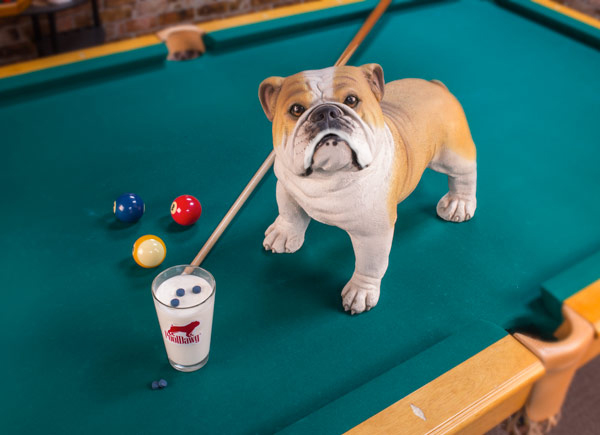 Milk Duds and Pool Cue Tips with Frank